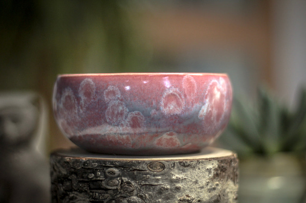 23  EXPERIMENT Small Bowl, 9 oz.