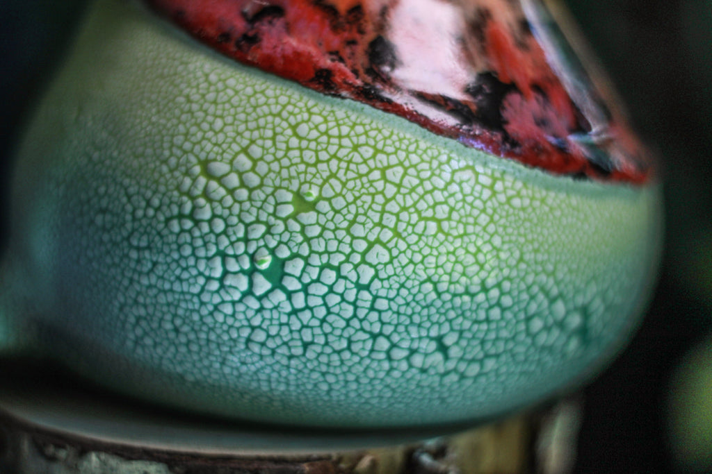 01-C Rainbow Serpent Flared Fat-Bottomed Mug, 26 oz.