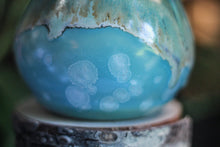 Load image into Gallery viewer, DRAWING WINNER 01-B Champlain Falls Barely Flared Acorn Mug - TOP SHELF MISFIT, 24 oz.