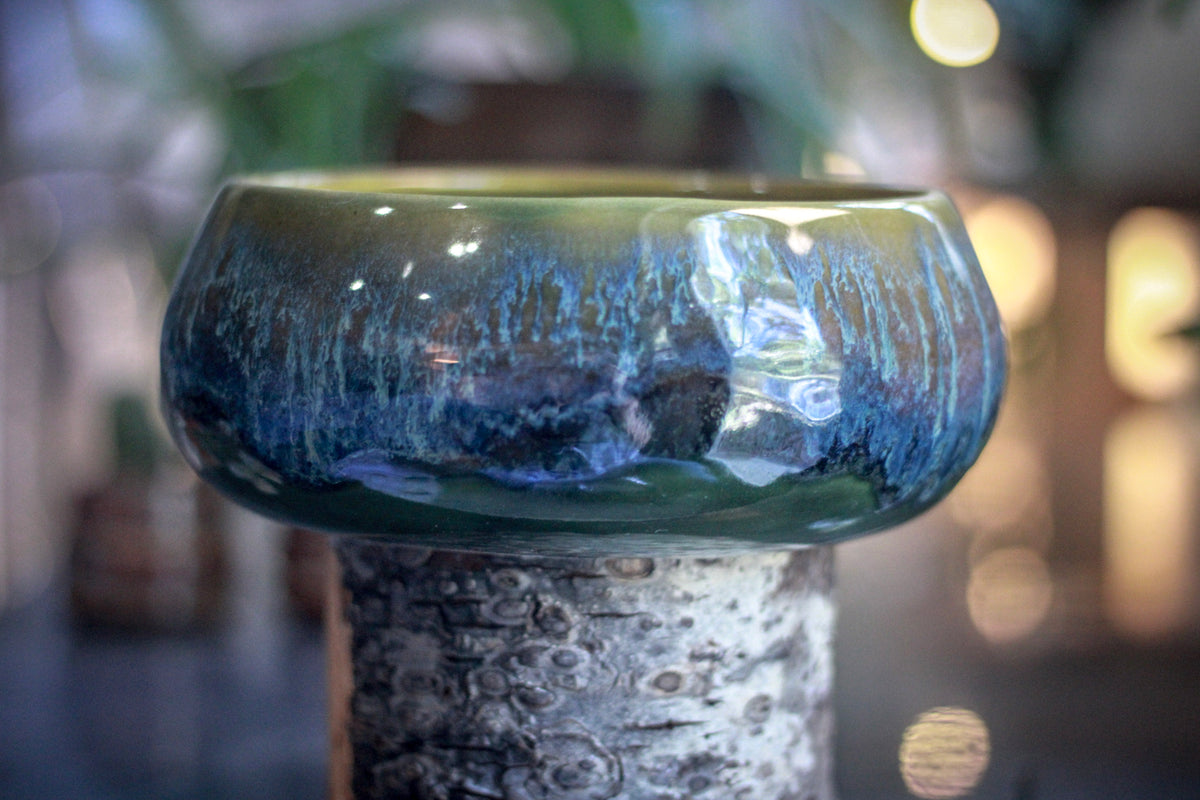 08-A Mossy Falls Large Bowl - MISFIT, 44 oz. - 30% off