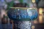 08-A Mossy Falls Large Bowl - MISFIT, 44 oz. - 30% off