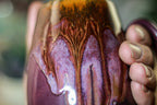 32-D Cosmic Cavern Notched Mug, 14 oz.