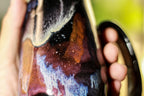 44-A Rainbow Stellar Notched Mug, 14 oz