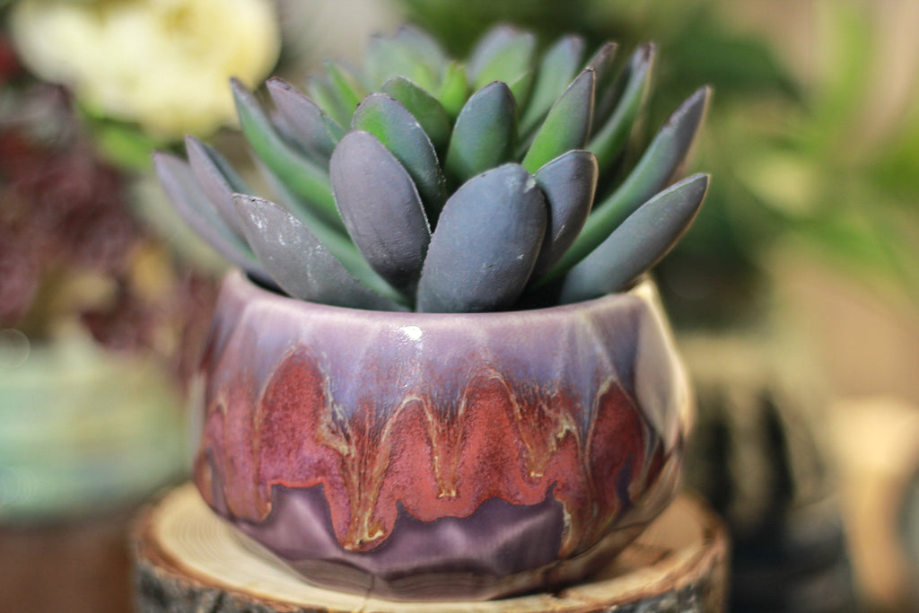 38-E Prototype Crystal Planter - MISFIT. - 15% off