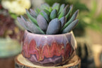 38-E Prototype Crystal Planter - MISFIT. - 15% off