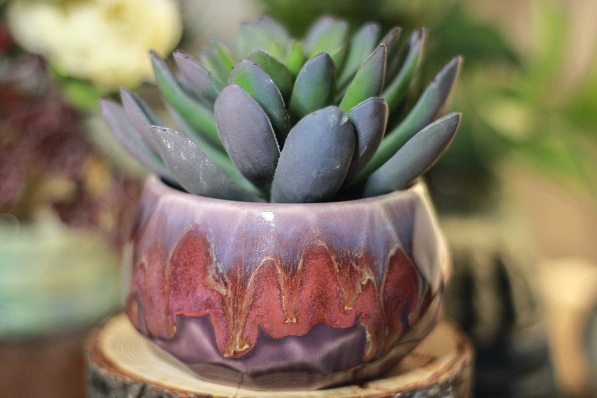 38-E Prototype Crystal Planter - MISFIT. - 15% off