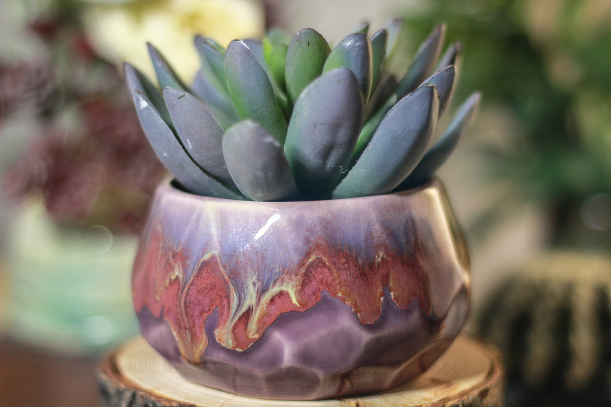 38-E Prototype Crystal Planter - MISFIT. - 15% off