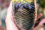 22-A New Earth Notched Textured Mug - MISFIT, 15 oz. - 10% off