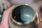 08-Ex Cup, 6 oz.