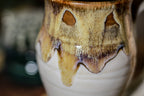 27-D Barely Flared Notched Mug - MISFIT, 11 oz. - 40% off