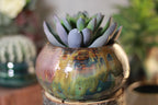 08-P Planter - MISFIT, 14 oz. actual weight - 50% off