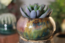 Load image into Gallery viewer, 08-P Planter - MISFIT, 14 oz. actual weight - 50% off