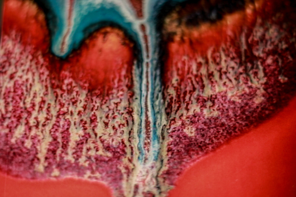46 Sublime Journal (Sonora Red Close-up)