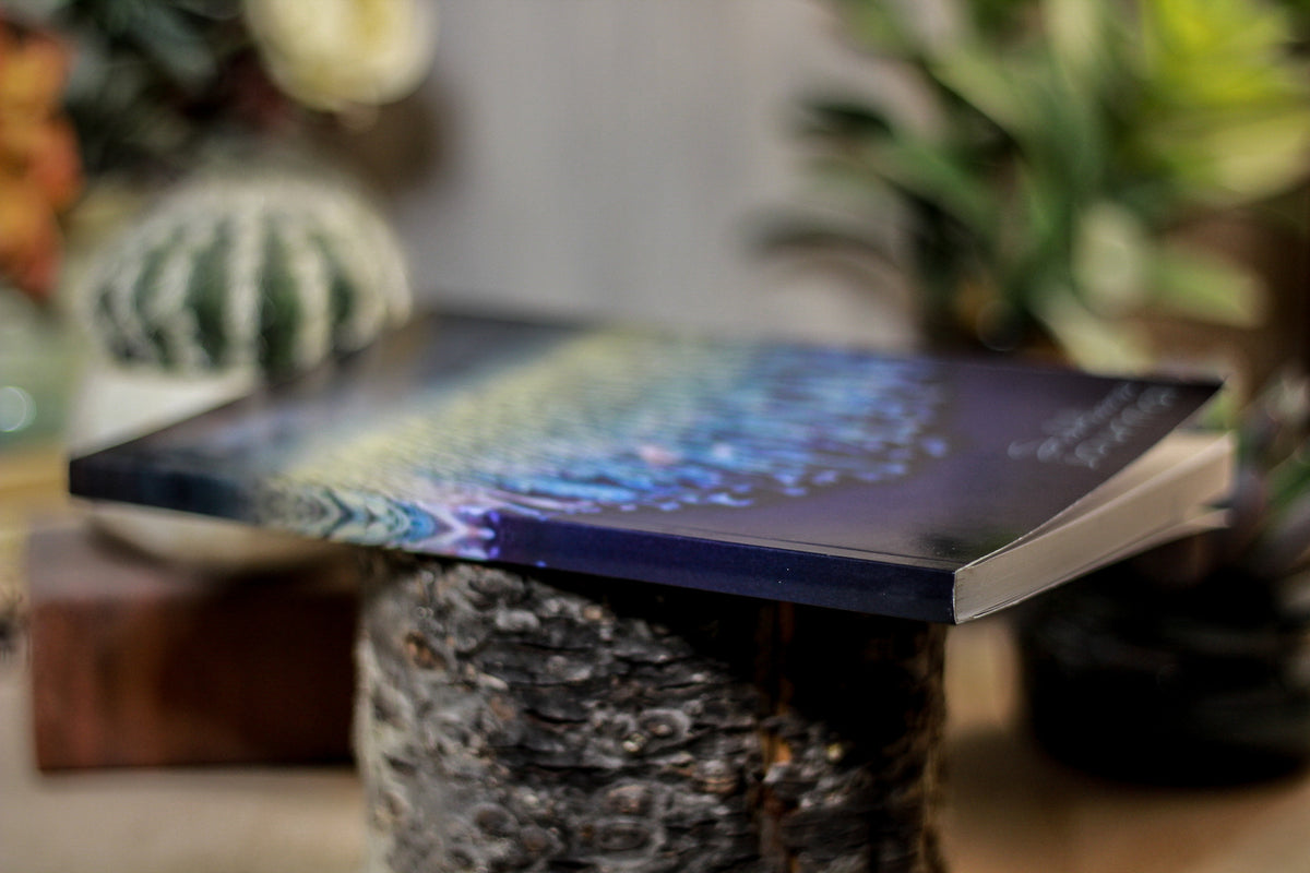 51 Sublime Journal (Atlantean Falls Close-up)